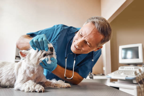 Best Weekend Emergency Dentist in Watertown, TN